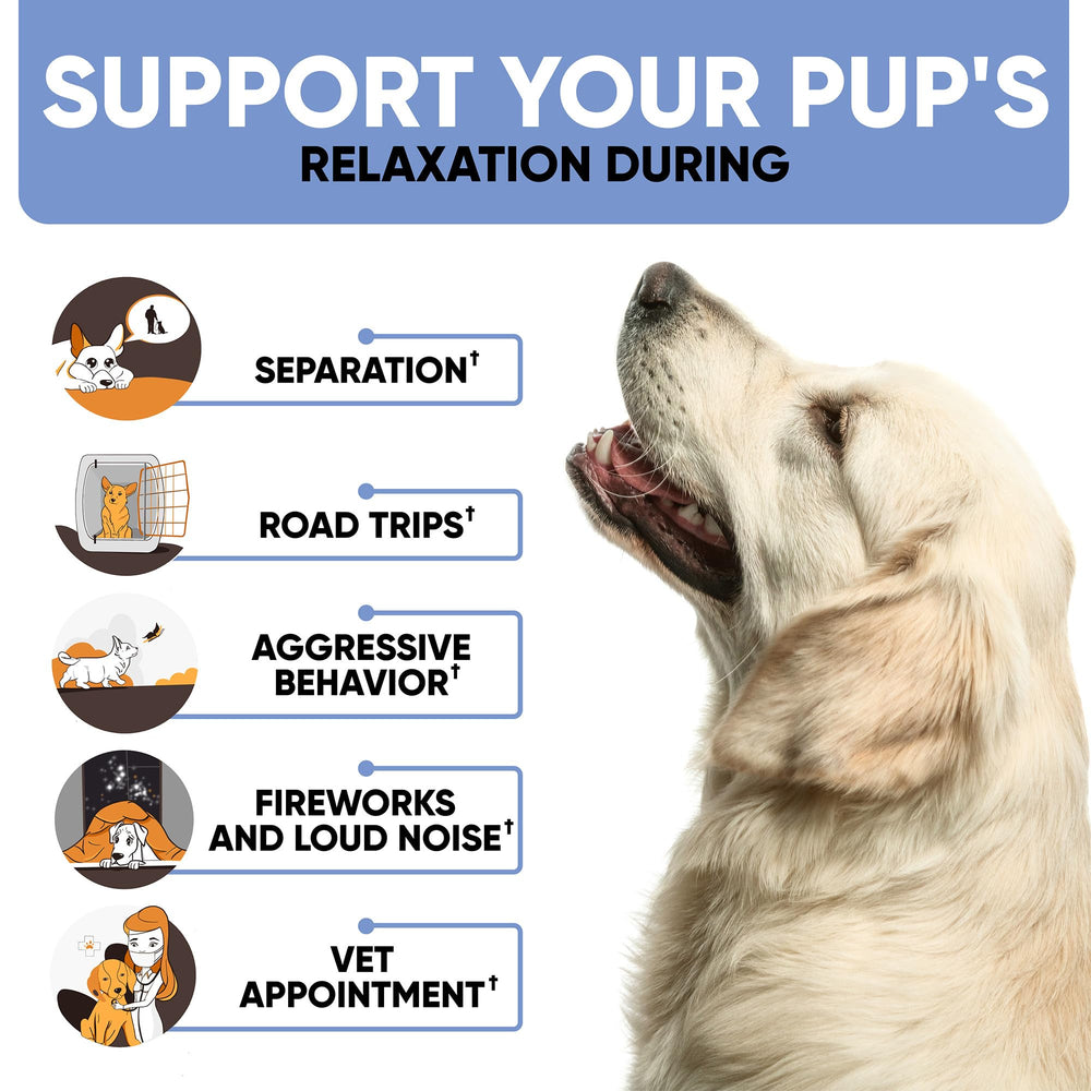 Kinpur Calming Chews, contiene L-teanina, favorece alivio suave ante ruidos.