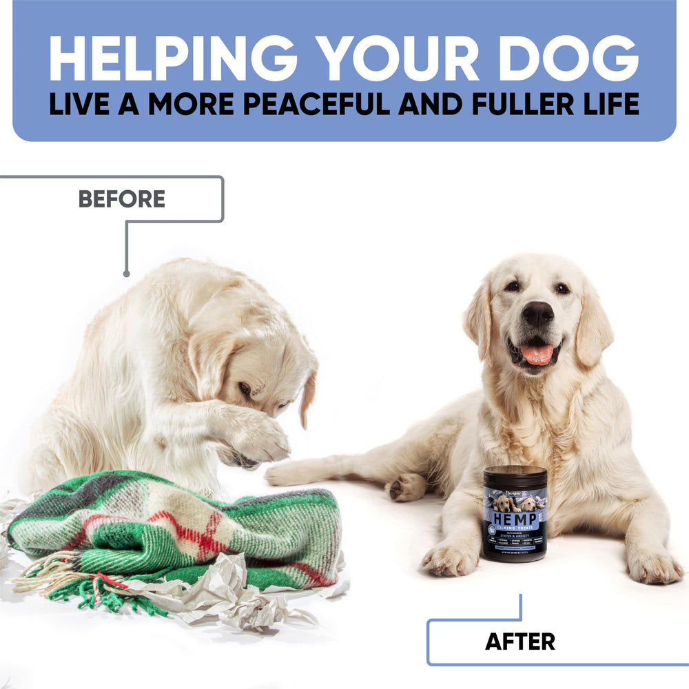 Kinpur Golosinas Relajantes para Perros, masticables, ideal para viajes en coche.