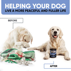 Kinpur Golosinas Relajantes para Perros, masticables, ideal para viajes en coche.