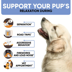 Kinpur Golosinas Relajantes para Perros, útiles durante tormentas para tranquilidad.