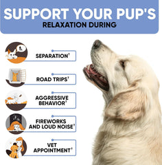 Kinpur Pet Care aceite de cáñamo, enfoque suave para la ansiedad.