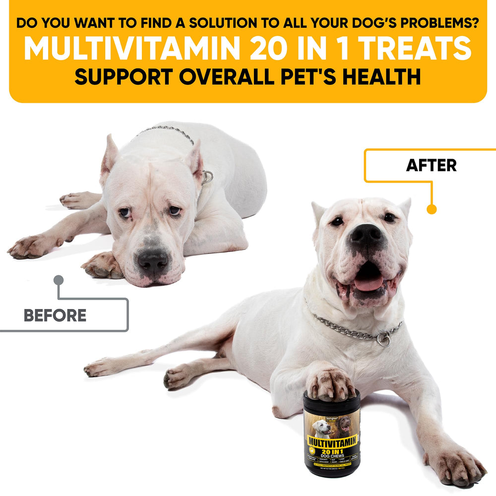 Kinpur Pet Care, masticables para perros con textura suave para premiar y apoyar la movilidad.