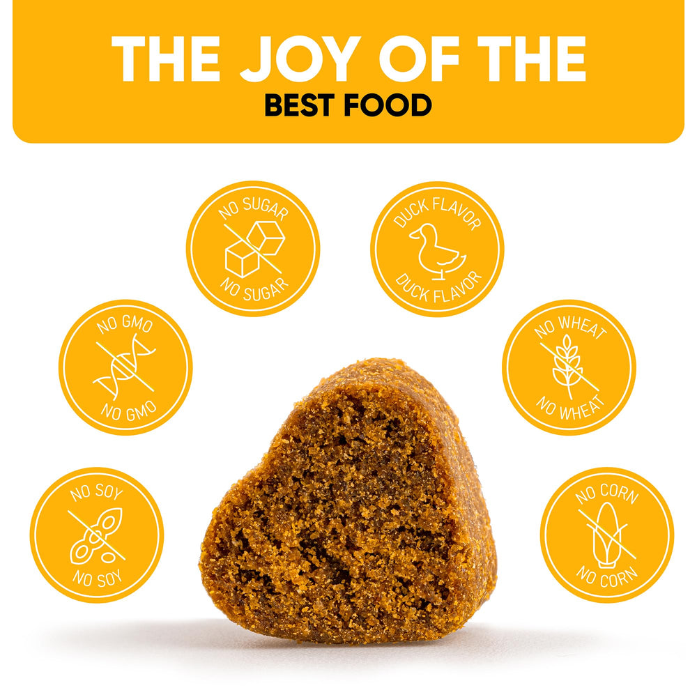 Kinpur Pet Care, perro masticando un masticable Kinpur con sabor agradable.