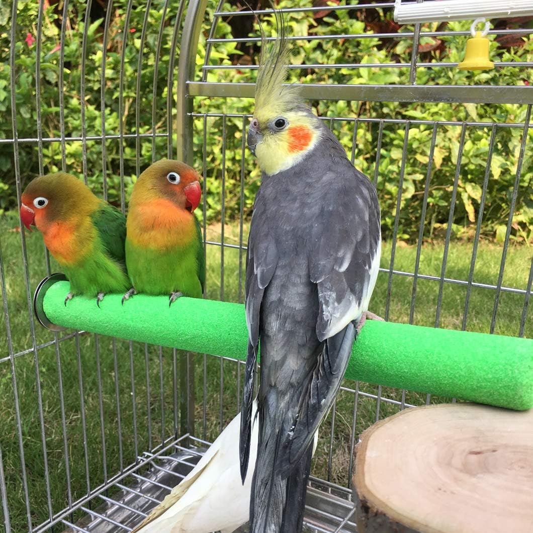 KINTOR percha tres tamanos para loros y aves.