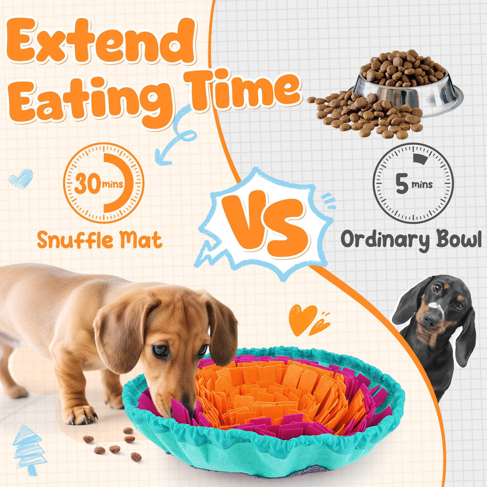 KIPRITII set de alimentación para perros en acción, permite comer despacio
