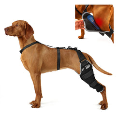 KISFLY ACL Brace para perro izquierdo, soporte estable para movilidad diaria.