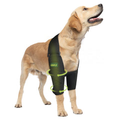 KISFLY codera para perros: enfoque en el codo con soporte estable para movilidad.