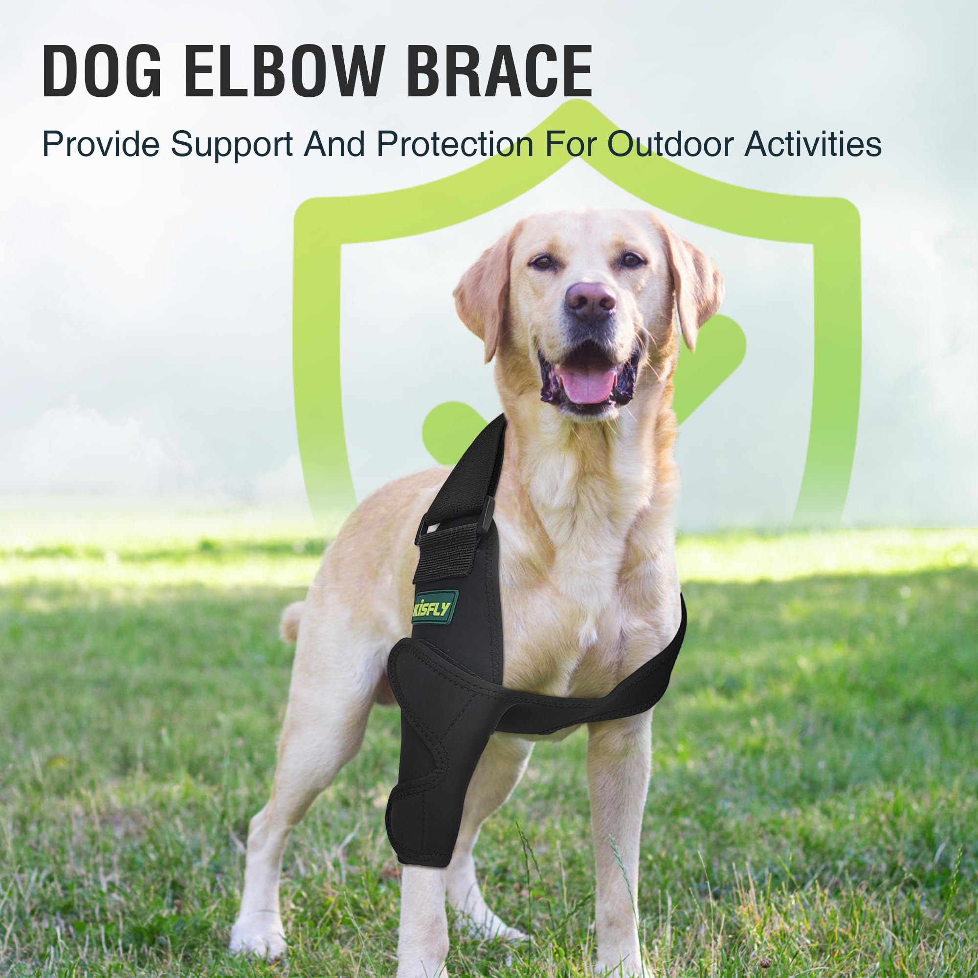 Diseño ergonómico de KISFLY recomendado por veterinarios.