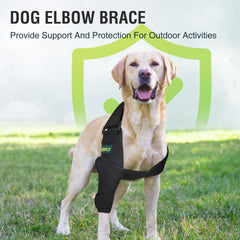 Diseño ergonómico de KISFLY recomendado por veterinarios.
