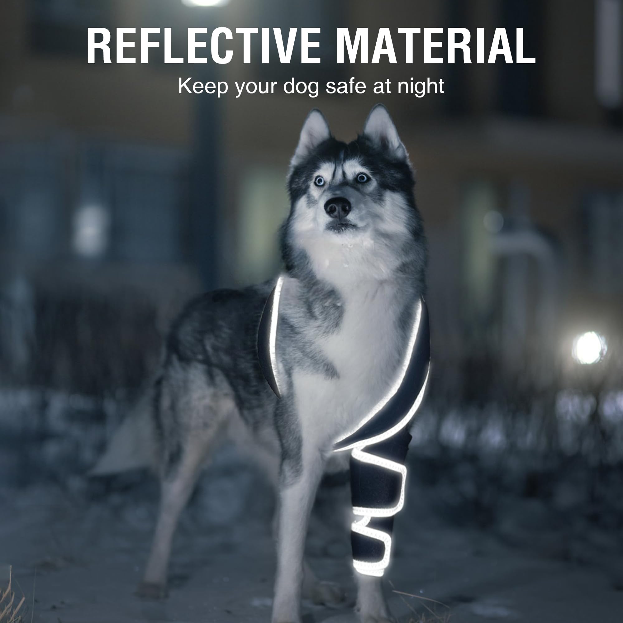 KISFLY uso nocturno seguro para perros activos con luxación de rótula