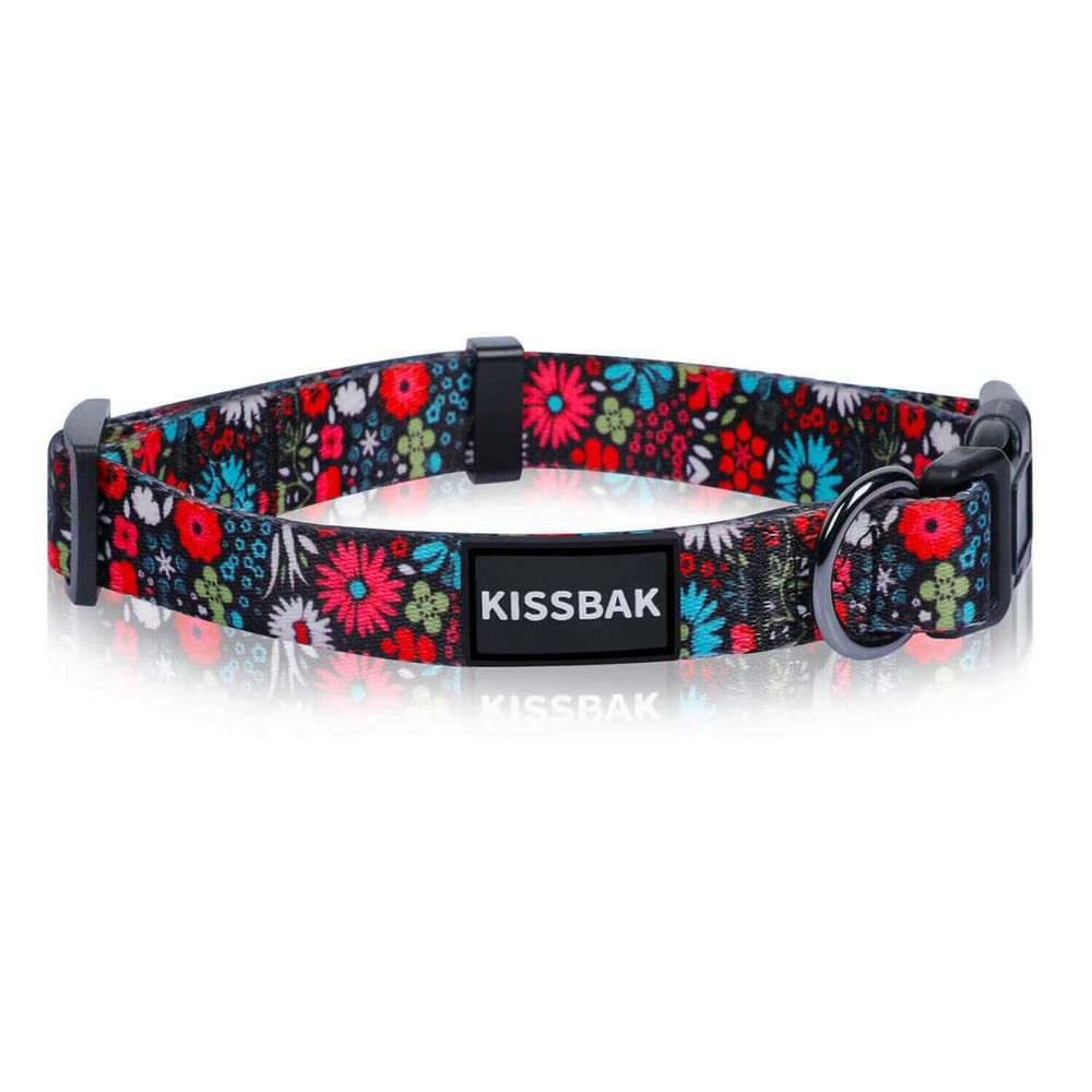 KISSBAK collar grande floral, tamaño L ideal para razas grandes.