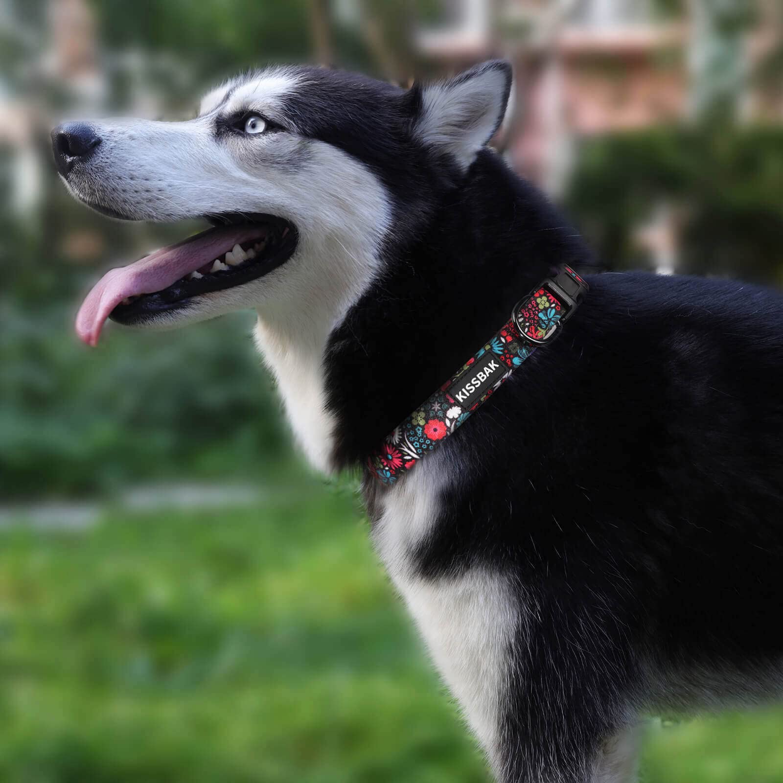 KISSBAK collar floral rojo, tela de alta densidad para mayor comodidad.