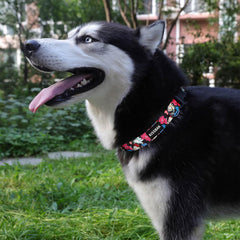KISSBAK collar con aro en D recubierto para mayor durabilidad.