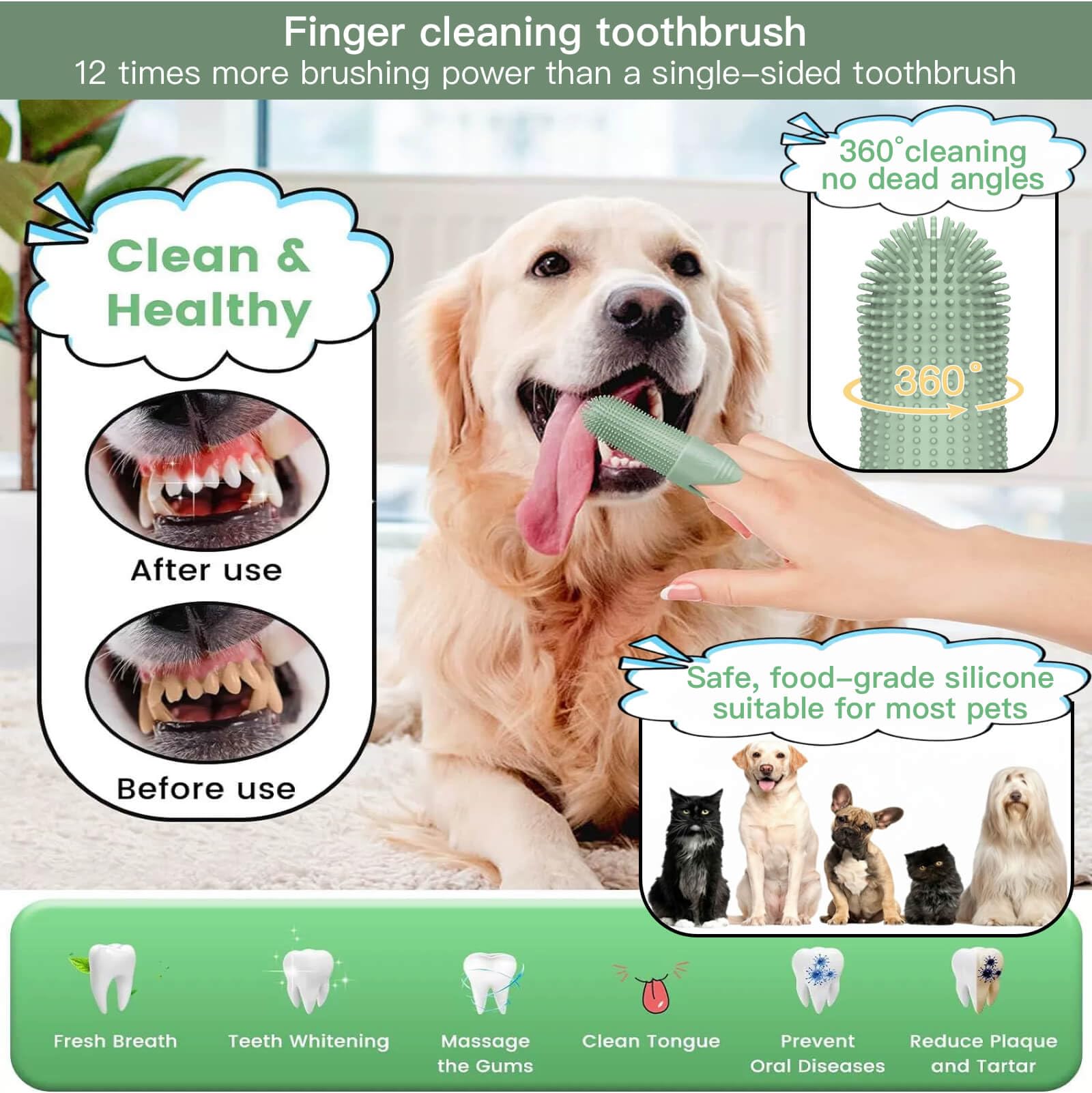 Kit de cuidado mascotas: corta uñas con guía para evitar cortes.