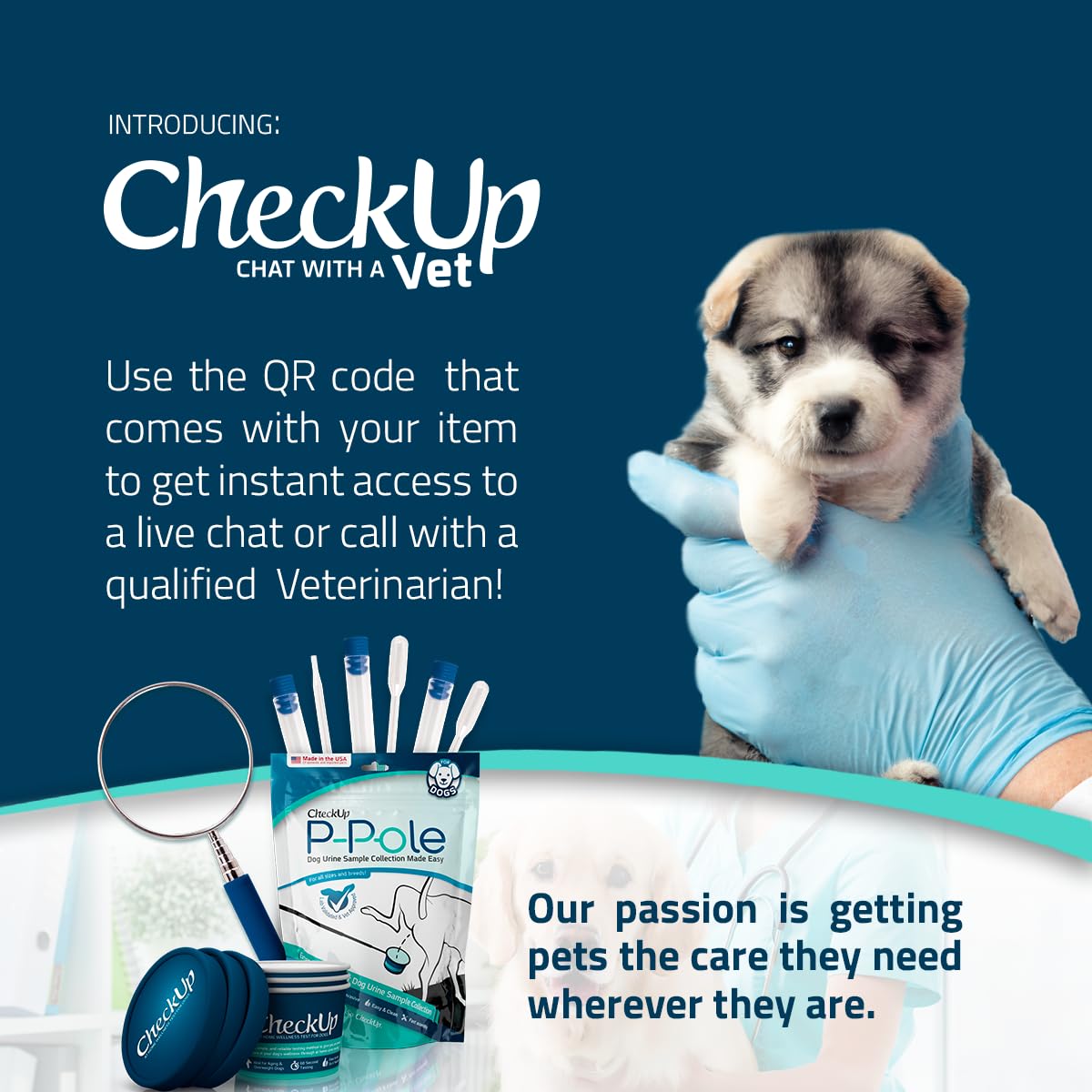 KIT4CAT CheckUp P-Pole: sistema de cierre seguro para transporte