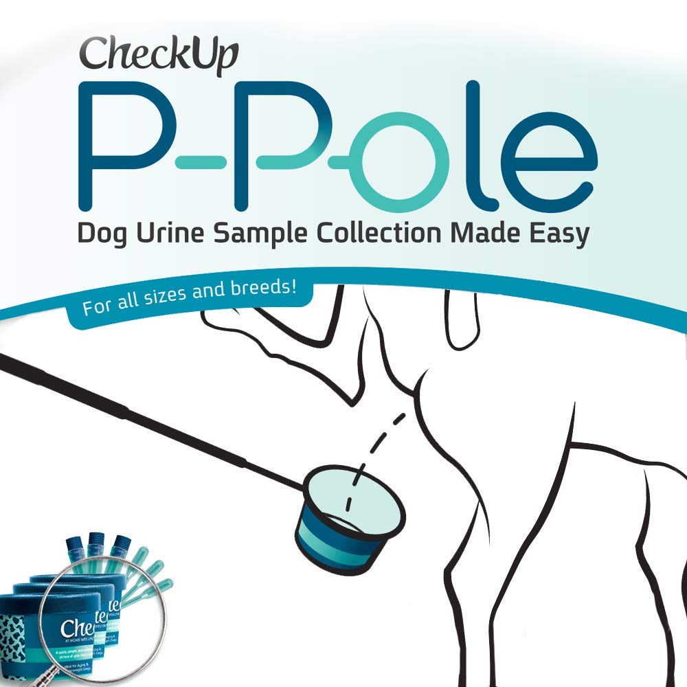 KIT4CAT CheckUp P-Pole: diseño ligero para uso diario