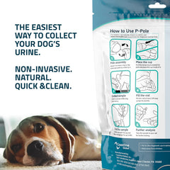KIT4CAT CheckUp P-Pole: pipetas y frascos prácticos para pruebas rápidas
