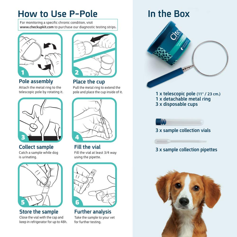KIT4CAT CheckUp P-Pole: uso práctico durante paseos y recolección rápida