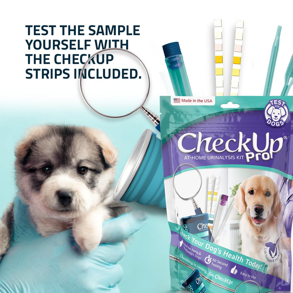 KIT4CAT CheckUp Pro cuadro de colores para lectura sencilla