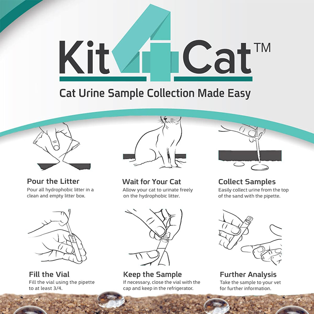 KIT4CAT uso no invasivo en casa para monitorear la salud felina.