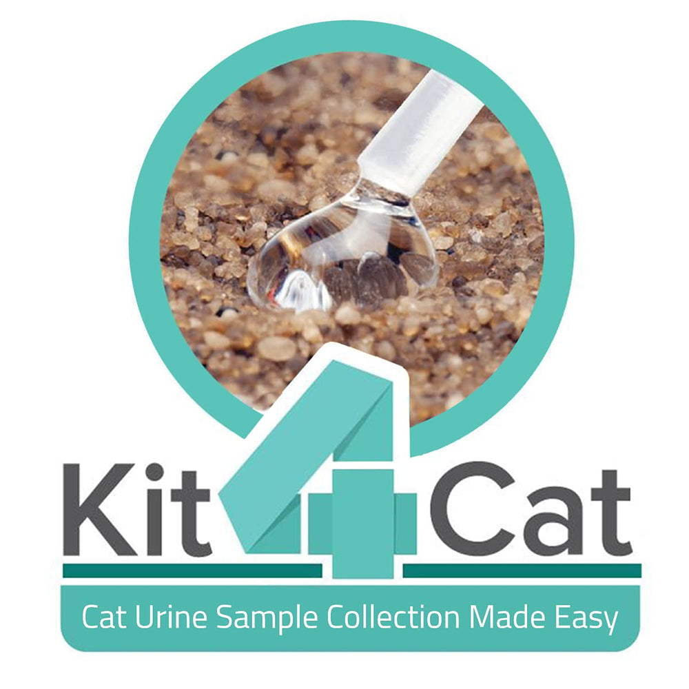 KIT4CAT diseño práctico para pruebas rápidas en casa.