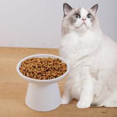 KitchenLestar diseño ergonómico para gatos mayores al comer sin esfuerzo