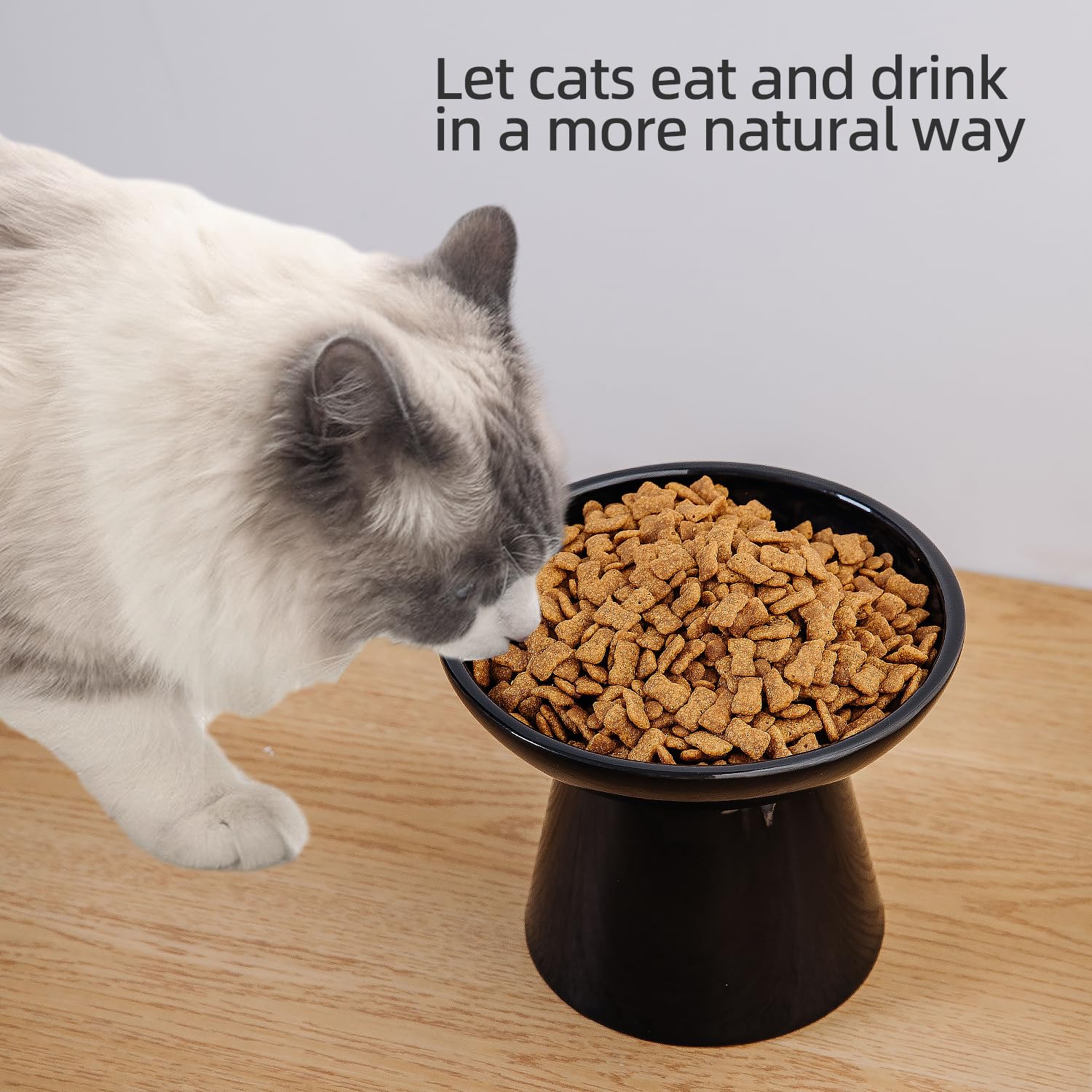 kitchenlestar diseño ergonómico para gatos favorece postura cómoda al comer