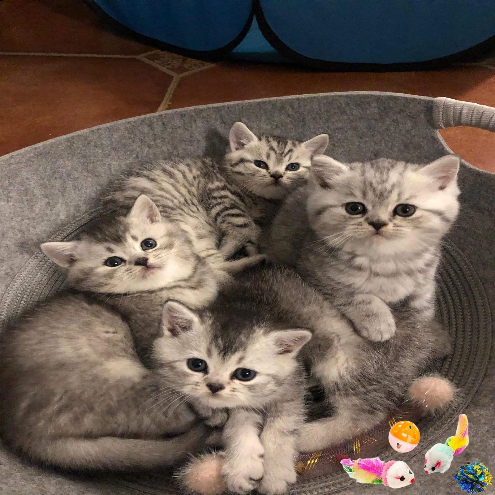 KITCHSTAR bolas-peludas-interior: juego suave de agarre para gatitos activos.