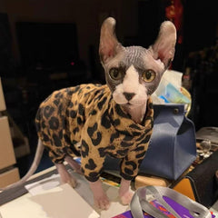 Kitipcoo ajuste perfecto para gato sin pelo, diseño ergonómico.