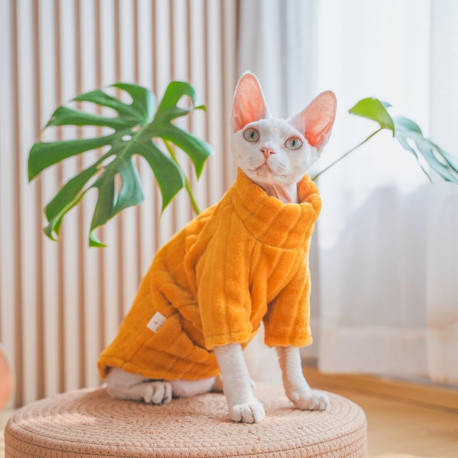 Kitipcoo sudadera de invierno aporta calidez suave al gato esfinge.
