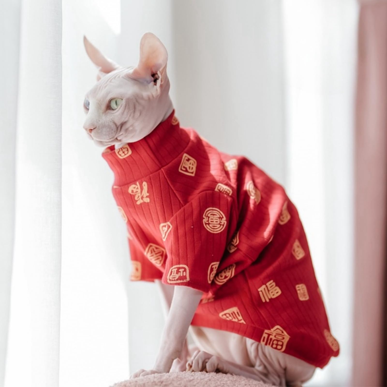 Diseño casual de Kitipcoo para gatos sin pelo, ideal para uso diario.