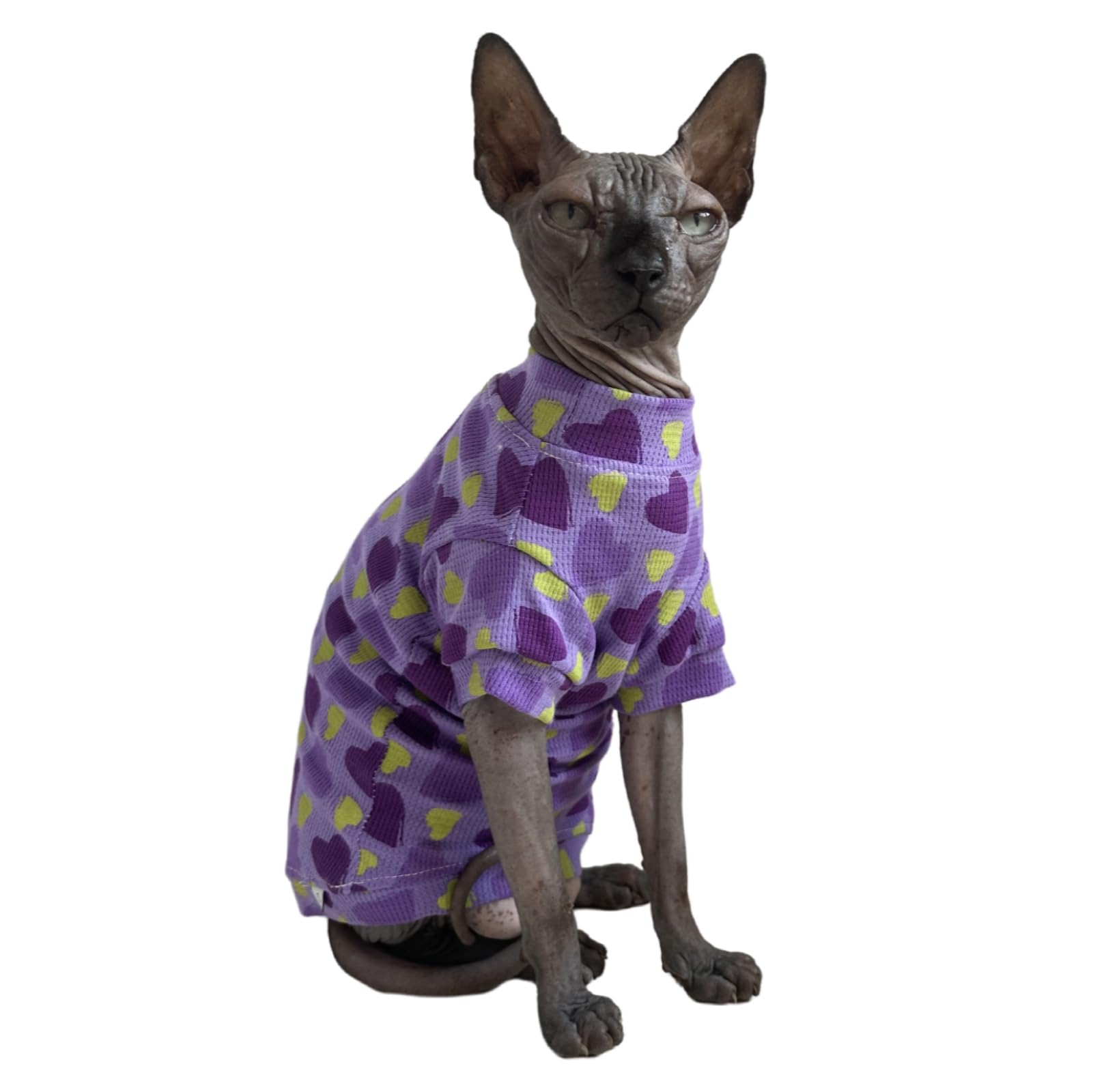Kitipcoo camisetas-gato-sphynx-detalle-tejido: tela suave que cuida la piel sin pelo