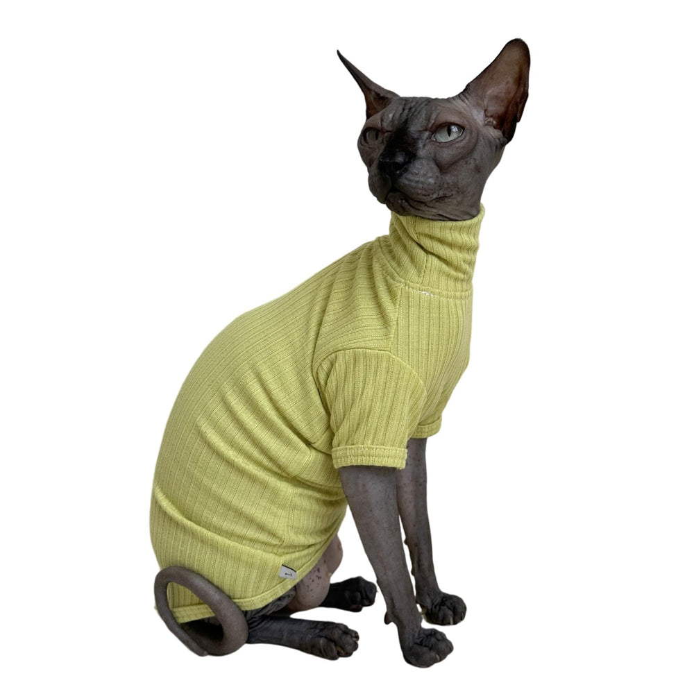 Kitipcoo camiseta gato Sphynx frente: suave y cómodo para sesiones de fotos