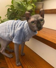 Detalle costuras reforzadas Kitipcoo para gato Sphynx, duradero y cómodo.
