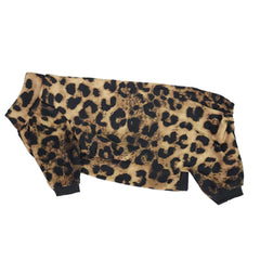Kitipcoo diseño casual para gato sin pelo, estilo para uso diario.