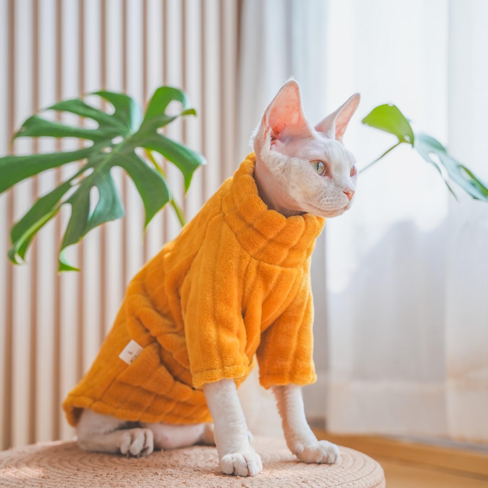 Kitipcoo diseño colorido facilita combinar atuendos para el gato esfinge.