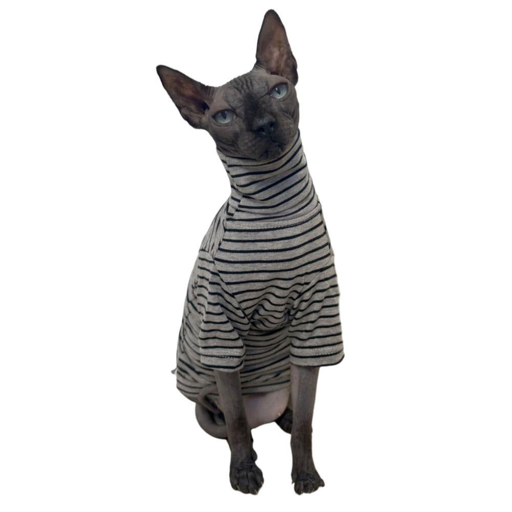 Kitipcoo diseño adorable para gatos, fácil de poner