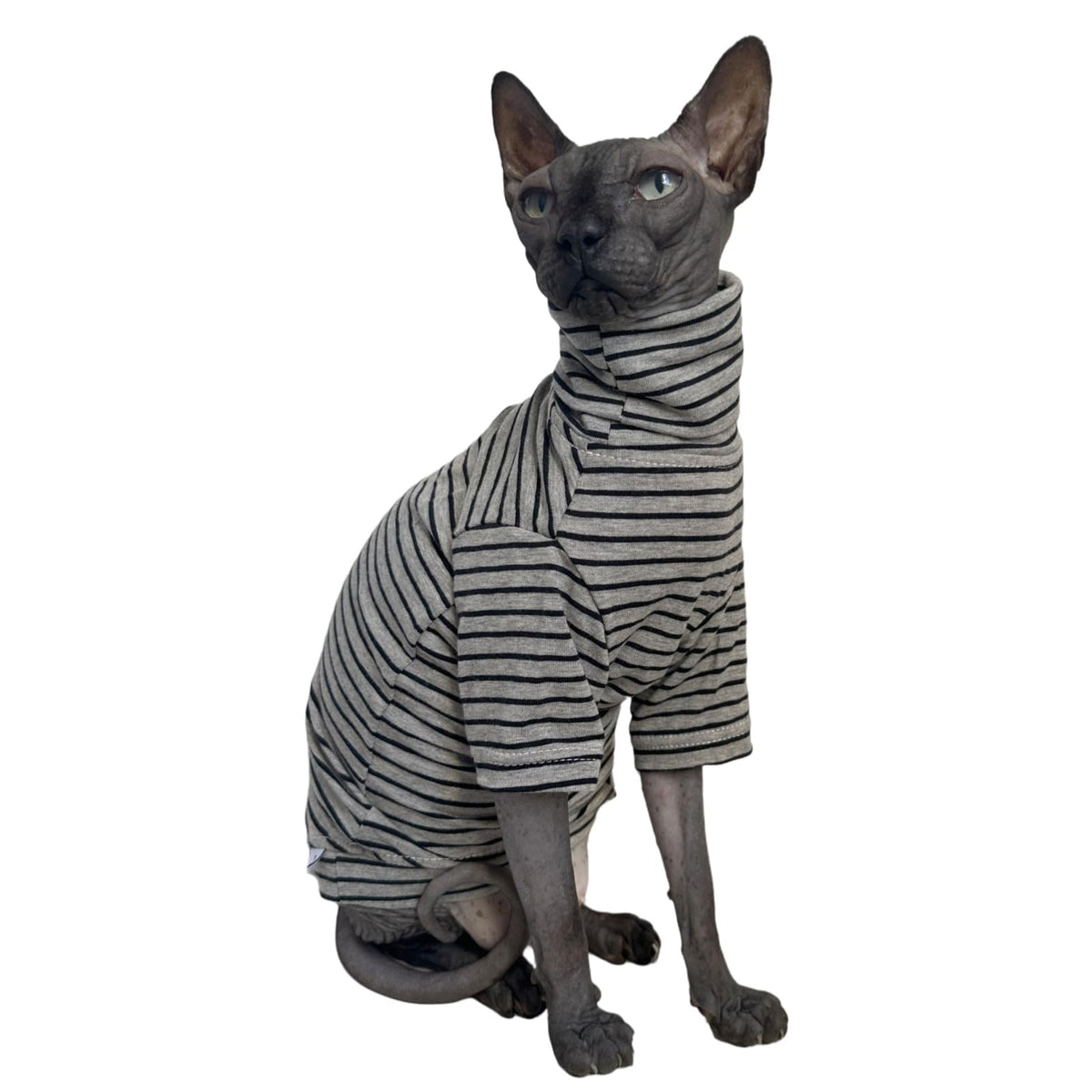 Kitipcoo abrigo gris a rayas para Sphynx, ideal para vestir y tomar fotos