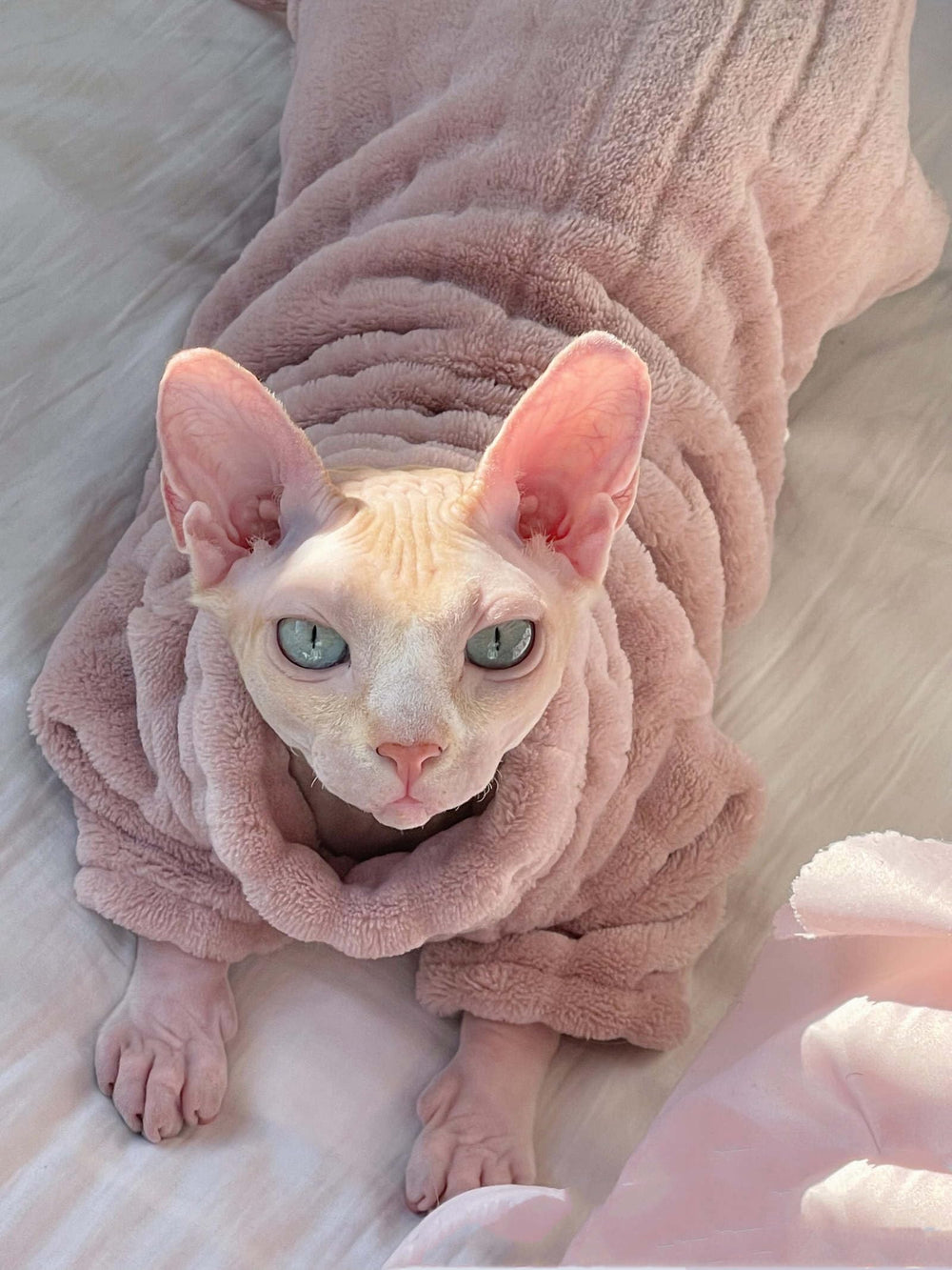 Kitipcoo 100% hecho a mano para Sphynx, ajuste perfecto.