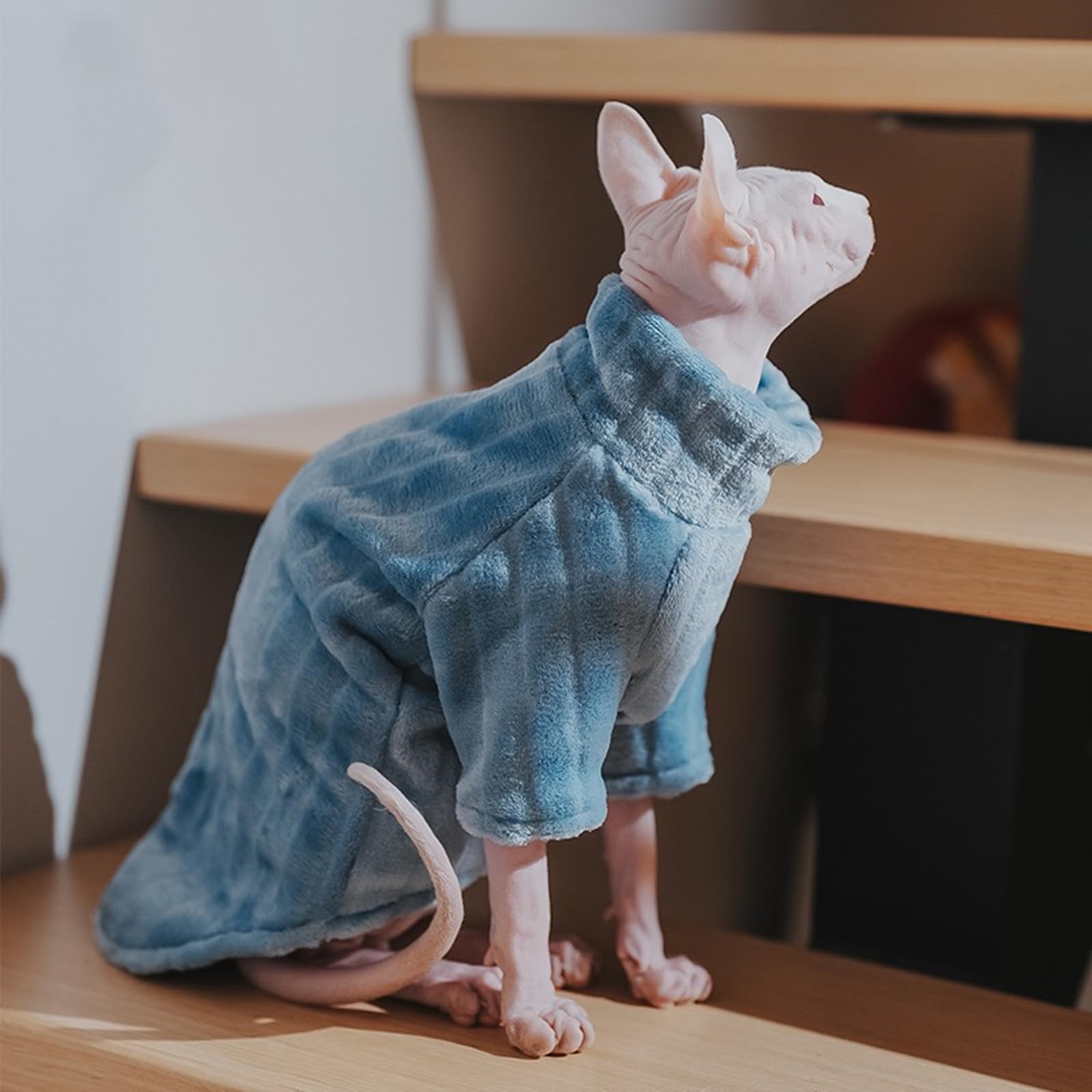 Uso diario interior/exterior, facilita vestir al gato Sphynx.