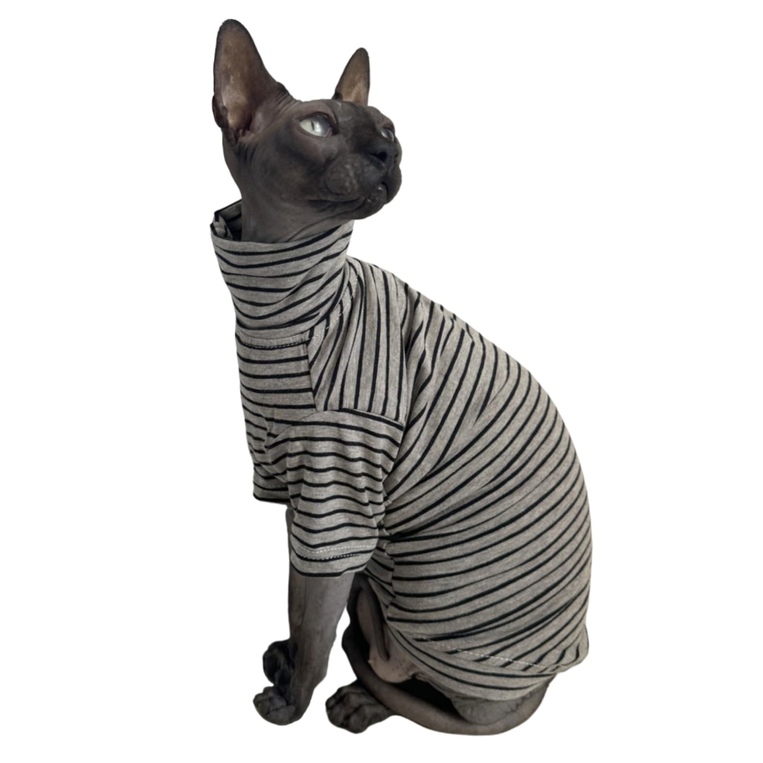Kitipcoo tallas adecuadas para Sphynx y razas similares, ajuste cómodo