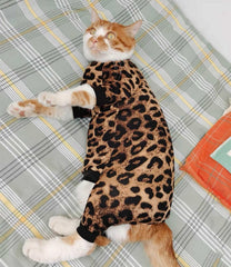 Kitipcoo uso en todas las estaciones para gato sin pelo, comodidad y protección.