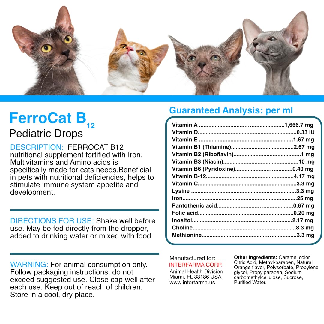 Seguridad y almacenamiento de Ferrocat B12 para mascotas.