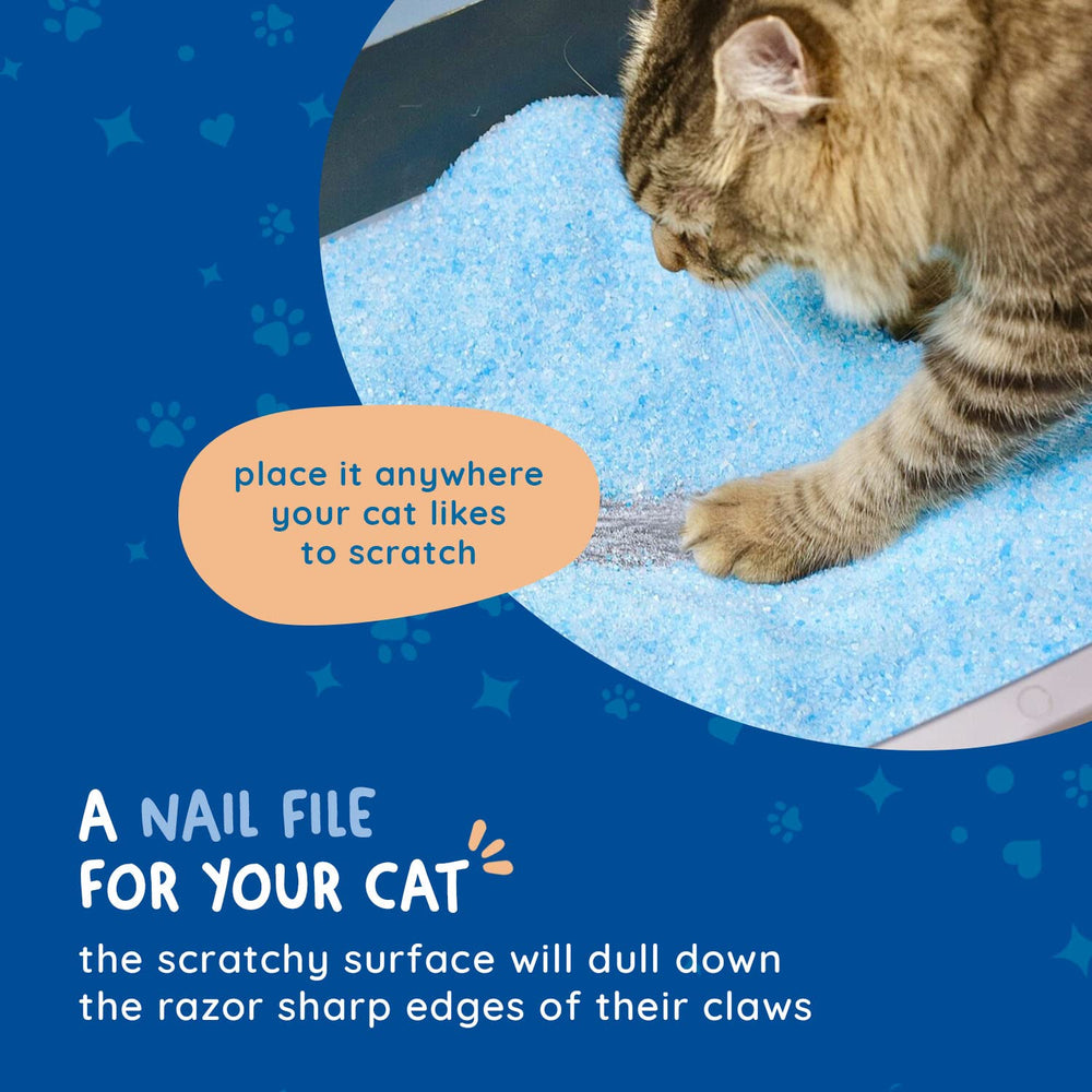 KITTY CURE lima garras sin desprendimiento para uso práctico en la caja de arena.