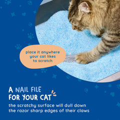 KITTY CURE lima garras sin desprendimiento para uso práctico en la caja de arena.