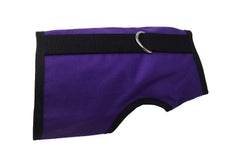 Kitty Holster arnés de gato para paseos seguros y cómodos, con cierre de velcro.