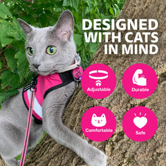 Rangos de tallas Kitty Holster para gatos de todas las tallas.