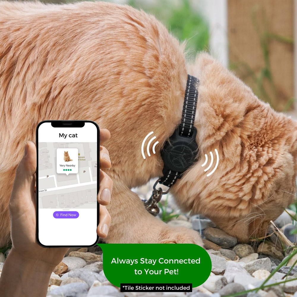 Kitty Kompass compatibilidad con etiqueta de rastreo 2024 para gatos.