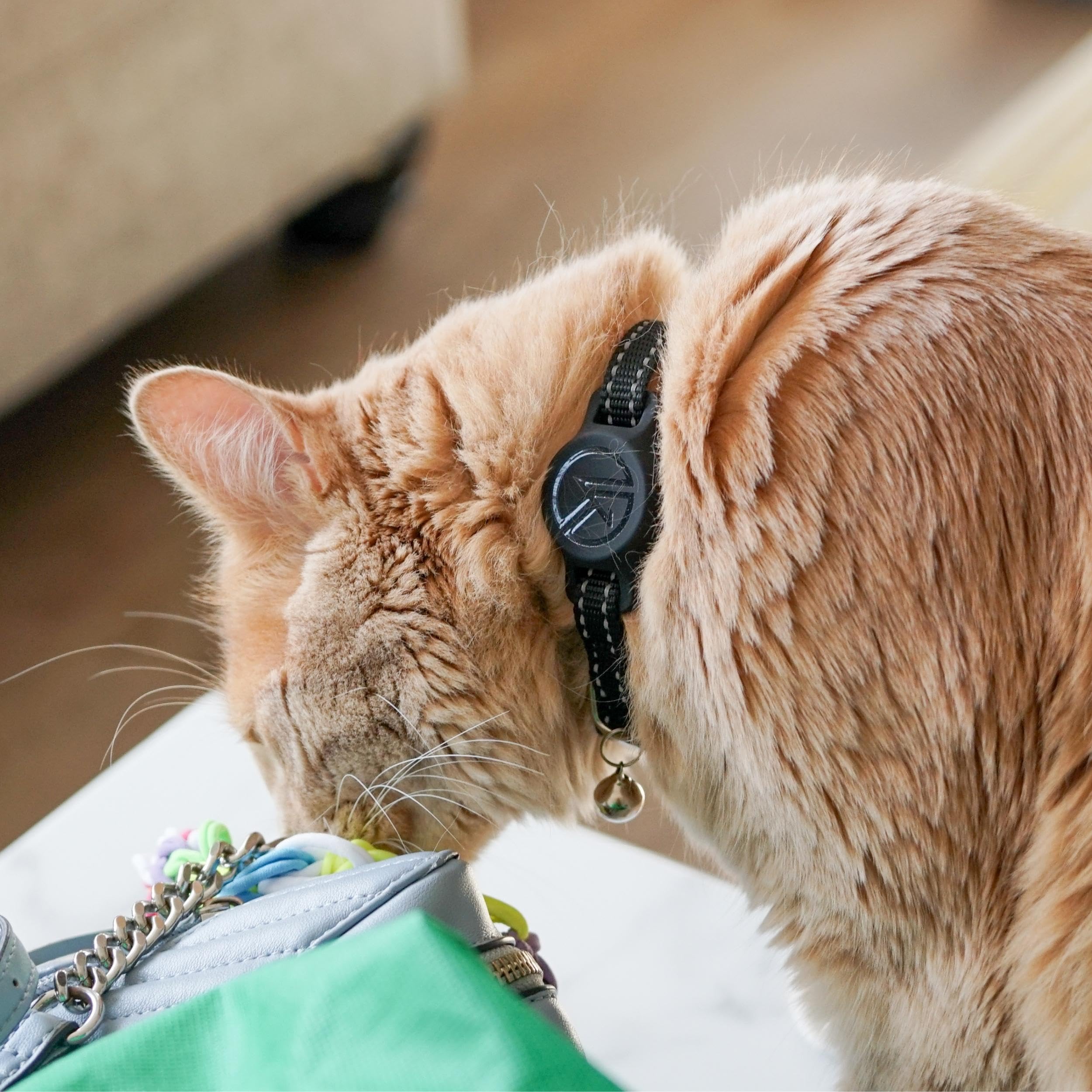 Kitty Kompass hecho en EE. UU., confianza para dueños de gatos.