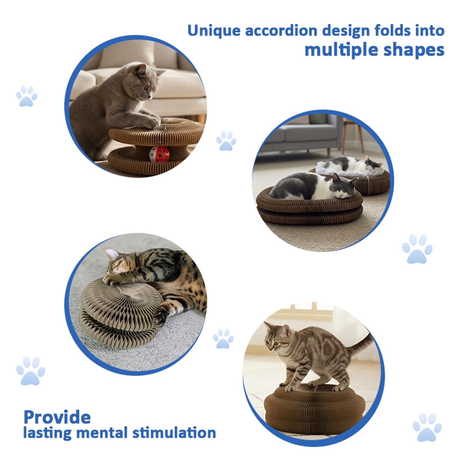 Kitty Kurlz: diseño flexible para pista, cama o túnel.